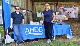 Showcasing British pig farming to the public at Farm-Fest